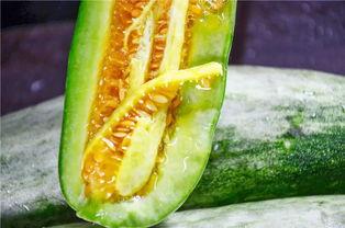 网红瓜都是谁吃的啊  第3张